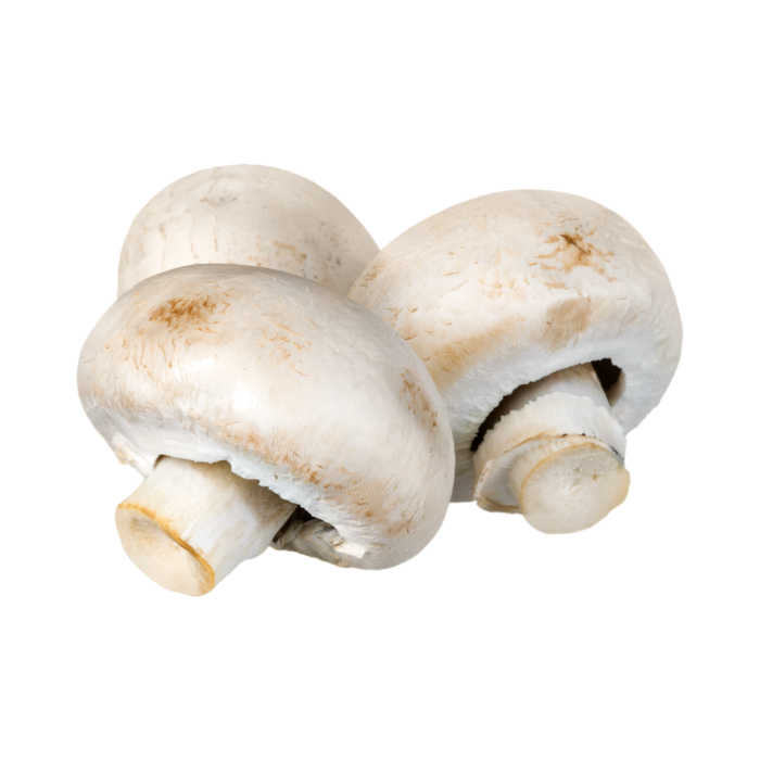 Champignon / un