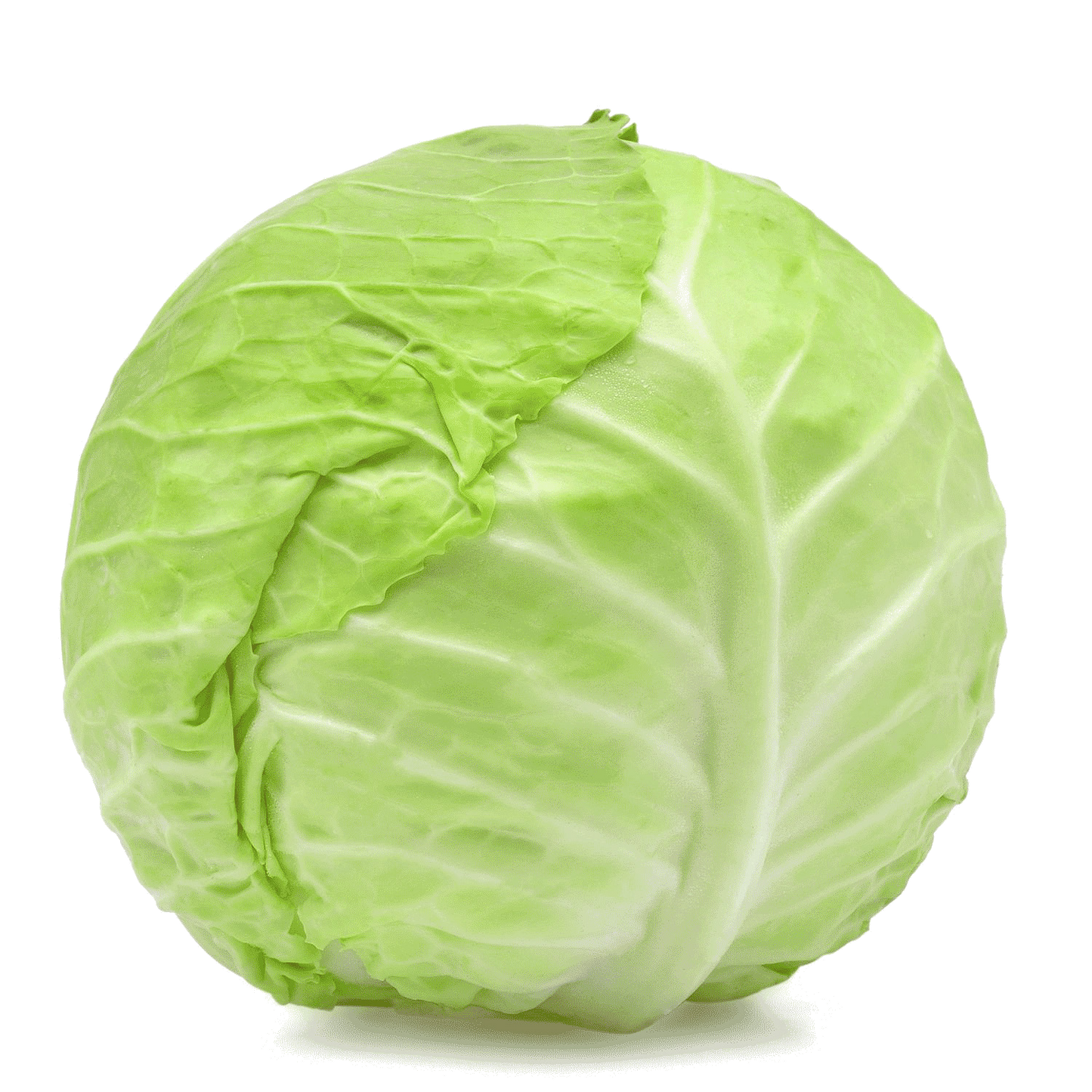 Chou Vert / un