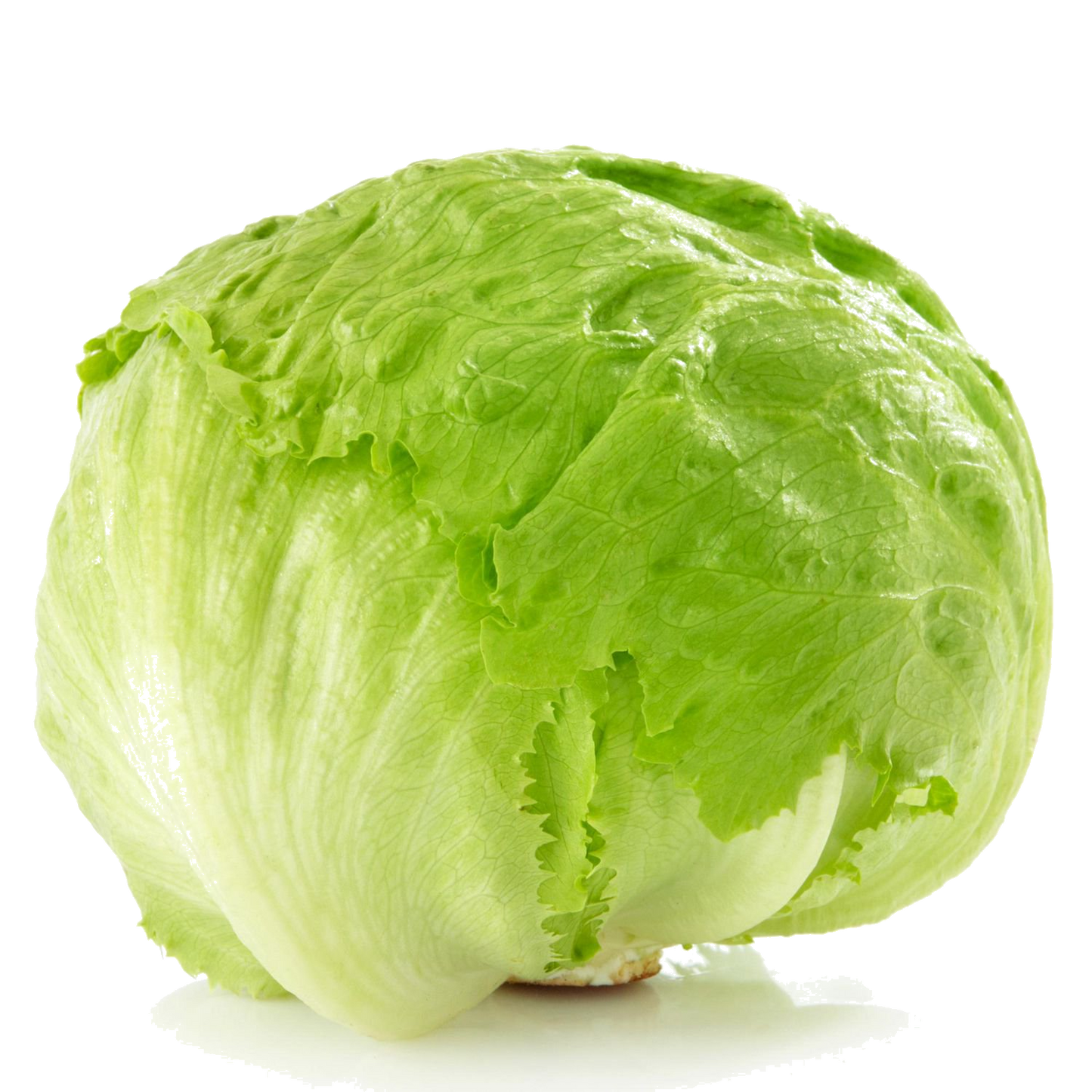 Laitue iceberg / un