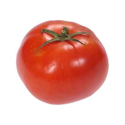 Tomate Hydro / lbs