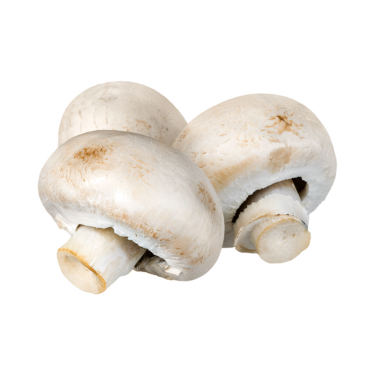 Champignon / un