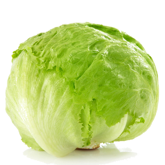 Laitue iceberg / un